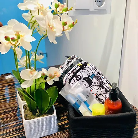 Lejlighed Maria Salamanca